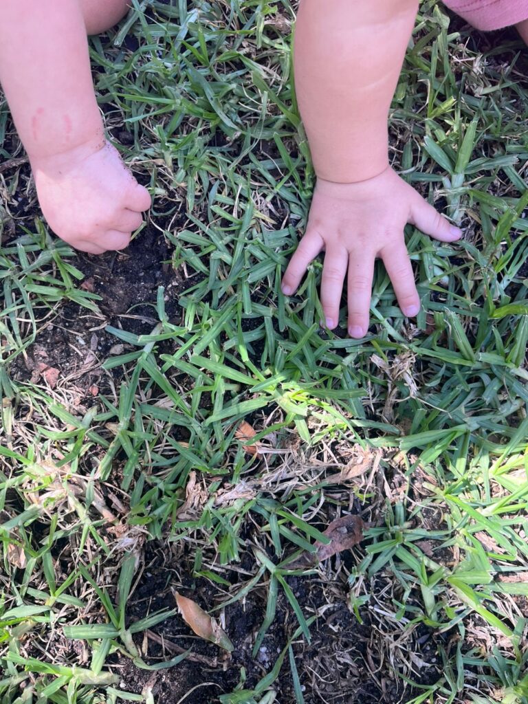 Carla's Love School | Why Eating Soil, Garden Exposure & Natural Microbes Can Be Healthy for Your Infant, Toddler & Child