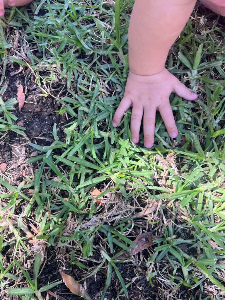 Carla's Love School | Why Eating Soil, Garden Exposure & Natural Microbes Can Be Healthy for Your Infant, Toddler & Child