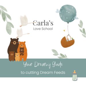 Carla's Love School | A Dreamy Guide to Cutting Dream Feeds